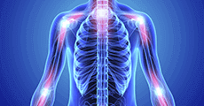 Maine Center for Dental Medicine Provides Biological Dentistry Human Body